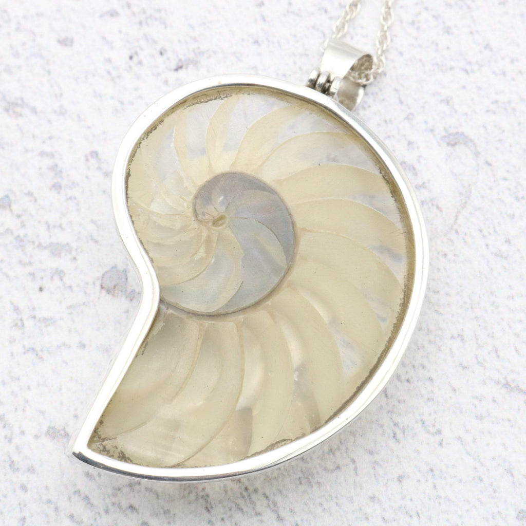 Hepburn and Hughes Nautilus Shell Pendant, small clear in Sterling Silver