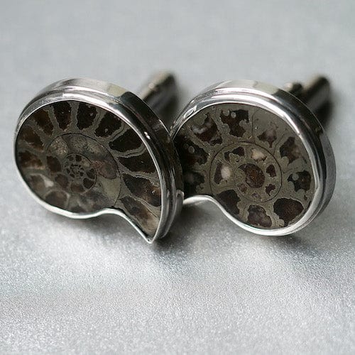 Hepburn & Hughes Pyrite ammonite cufflinks | French ammonites | sterling silver