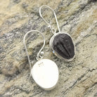Hepburn and Hughes Trilobite Earrings | Fossil Drop Earrings | Sterling Silver