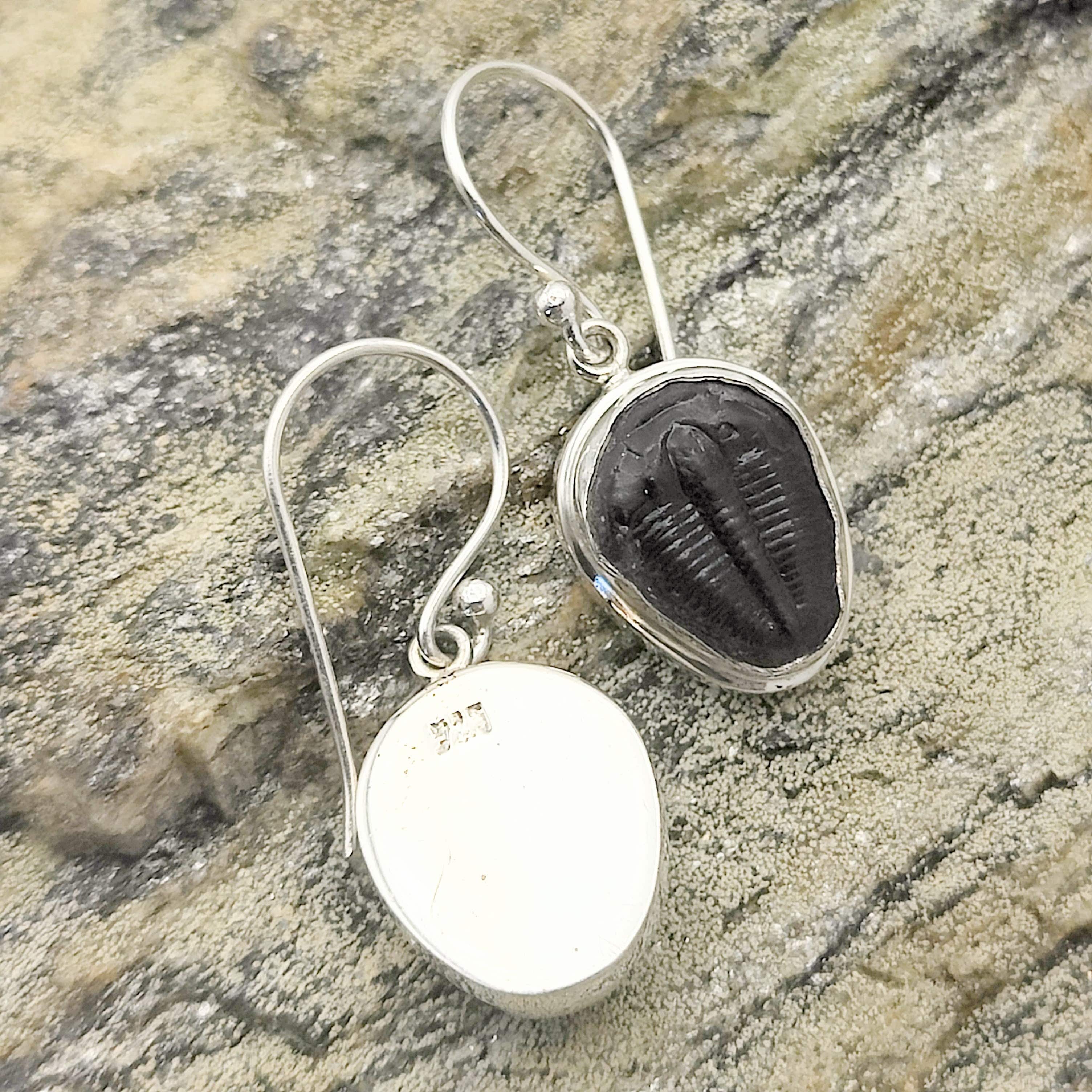 Hepburn and Hughes Trilobite Earrings | Fossil Drop Earrings | Sterling Silver