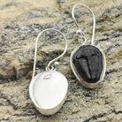 Hepburn and Hughes Trilobite Earrings | Fossil Drop Earrings | Sterling Silver