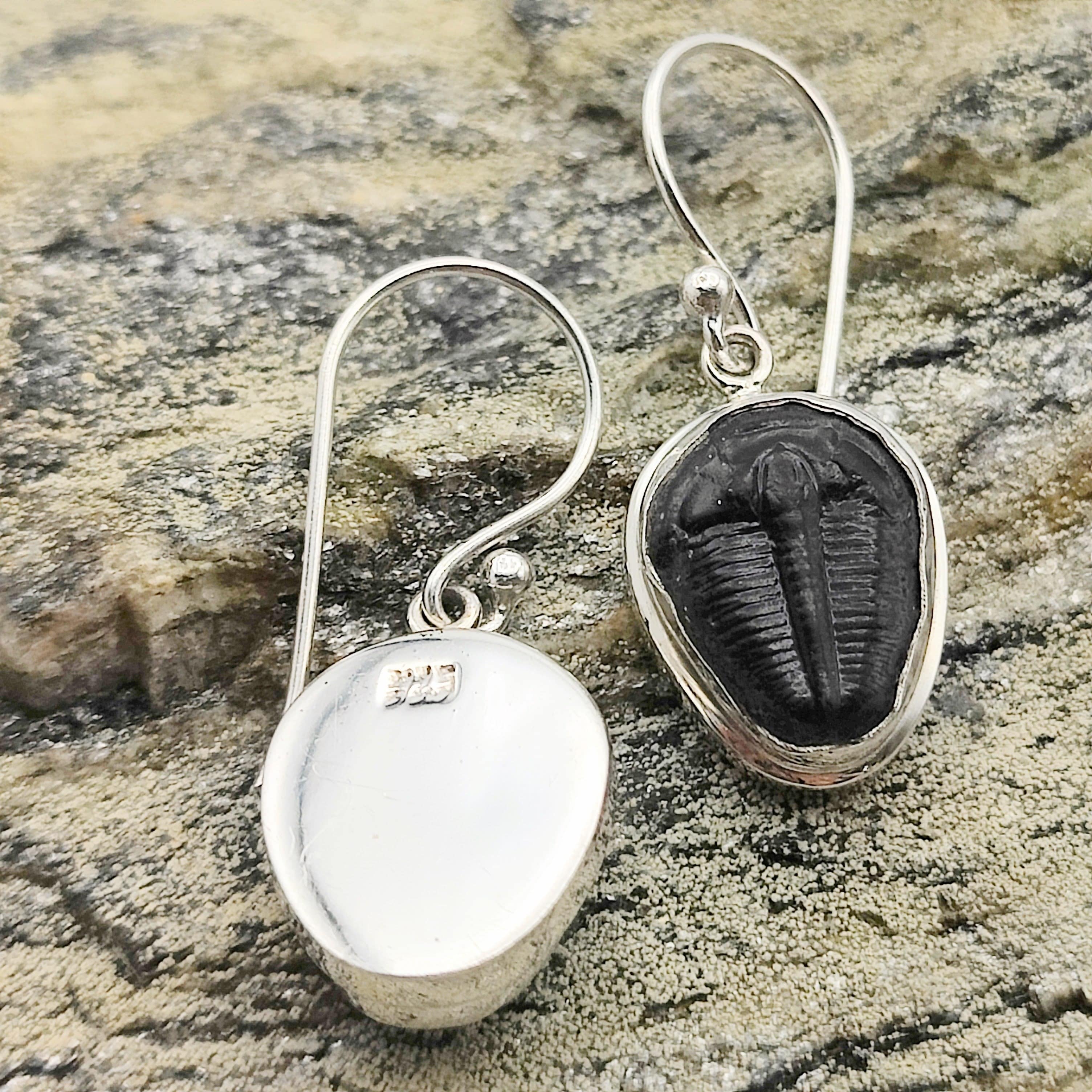 Hepburn and Hughes Trilobite Earrings | Fossil Drop Earrings | Sterling Silver