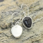 Hepburn and Hughes Trilobite Earrings | Fossil Drop Earrings | Sterling Silver