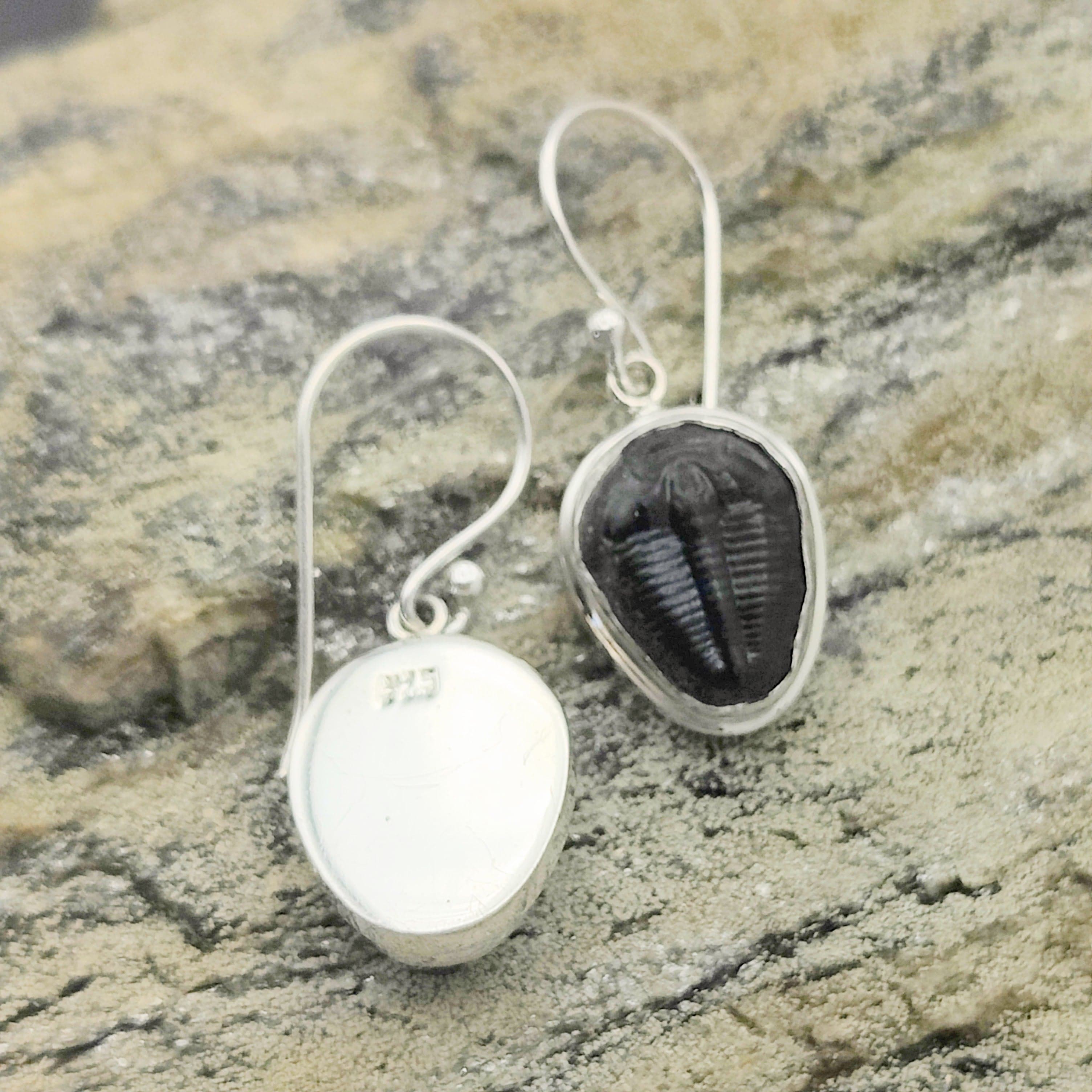Hepburn and Hughes Trilobite Earrings | Fossil Drop Earrings | Sterling Silver