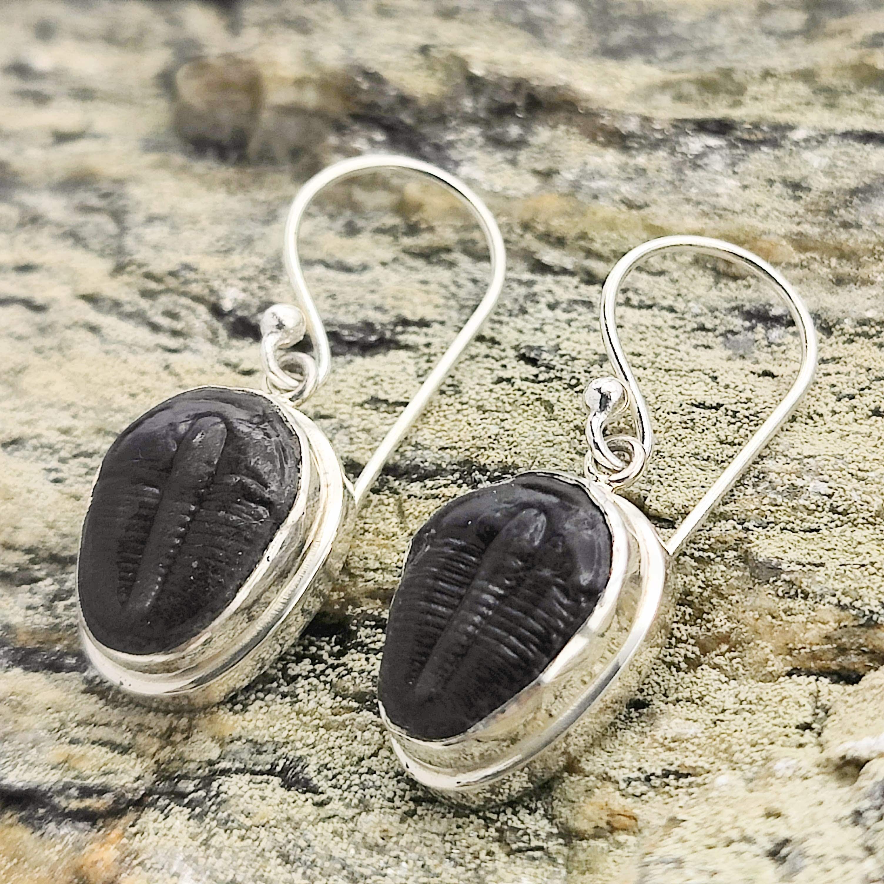 Hepburn and Hughes Trilobite Earrings | Fossil Drop Earrings | Sterling Silver