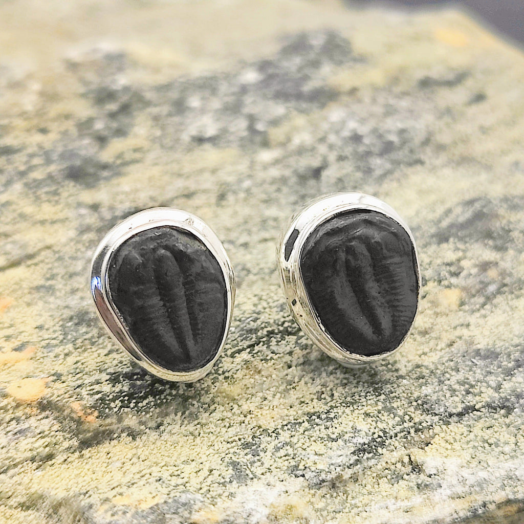 Hepburn and Hughes Trilobite Earrings | Fossil Stud Earrings | Sterling Silver