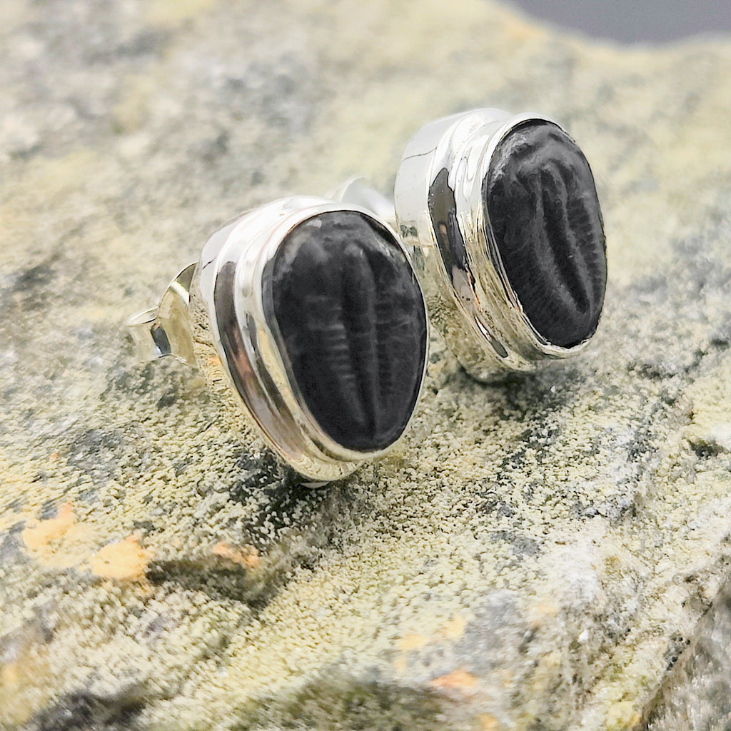 Hepburn and Hughes Trilobite Earrings | Fossil Stud Earrings | Sterling Silver