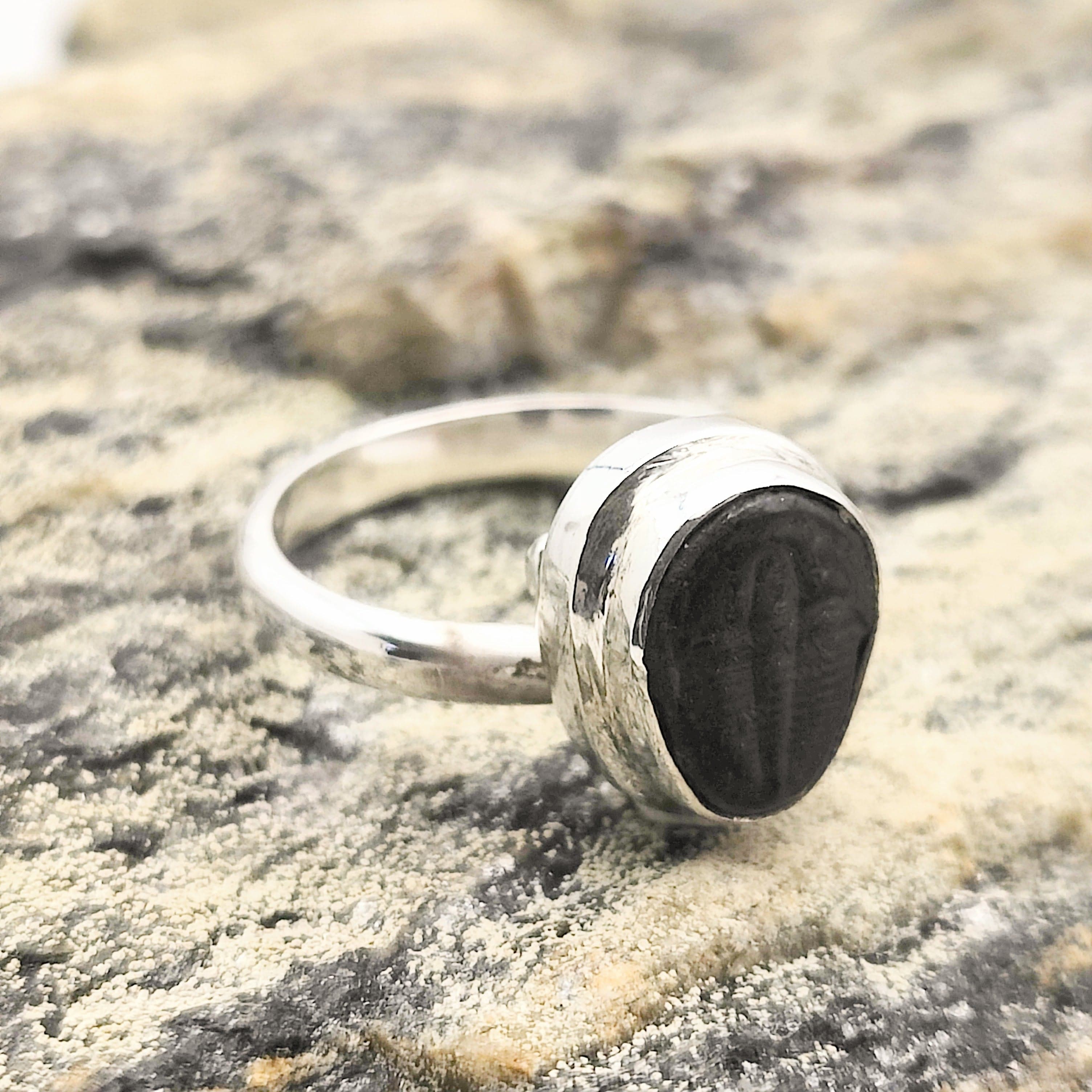 Hepburn and Hughes Trilobite Fossil Ring | 10mm Fossil | Adjustable Ring in Sterling Silver