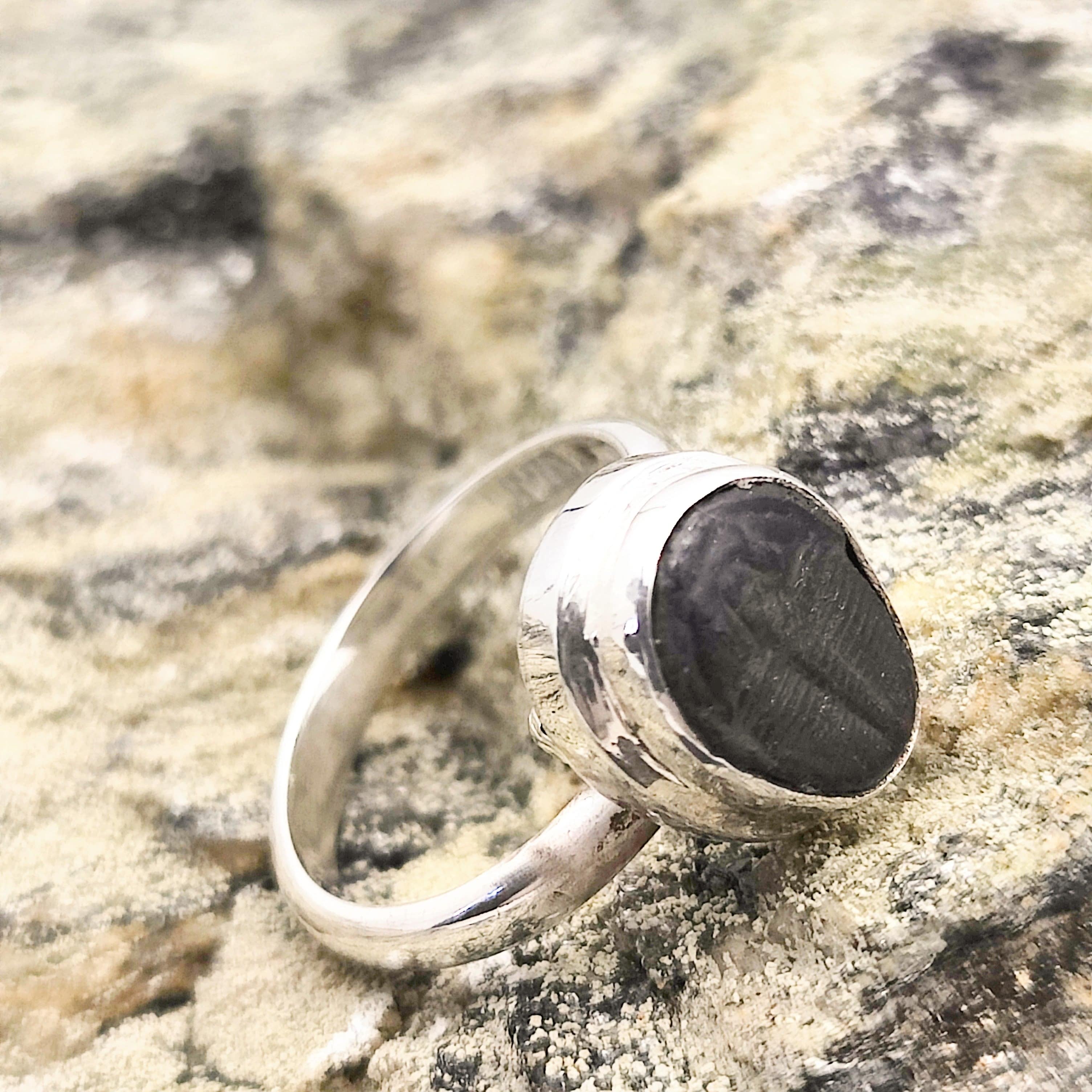 Hepburn and Hughes Trilobite Fossil Ring | 10mm Fossil | Adjustable Ring in Sterling Silver