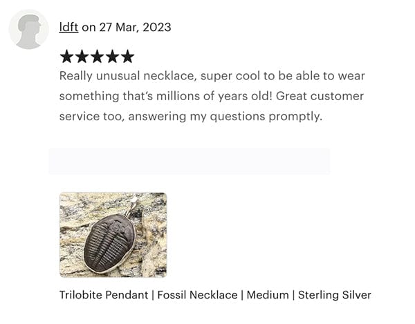 Hepburn and Hughes Trilobite Necklace | Extra Small 12mm Fossil Pendant | Sterling Silver