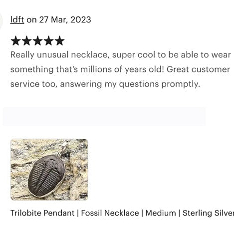 Hepburn and Hughes Trilobite Necklace | Small Fossil Pendant 18mm long | Sterling Silver
