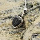 Hepburn and Hughes Trilobite Necklace | Small Fossil Pendant | Sterling Silver