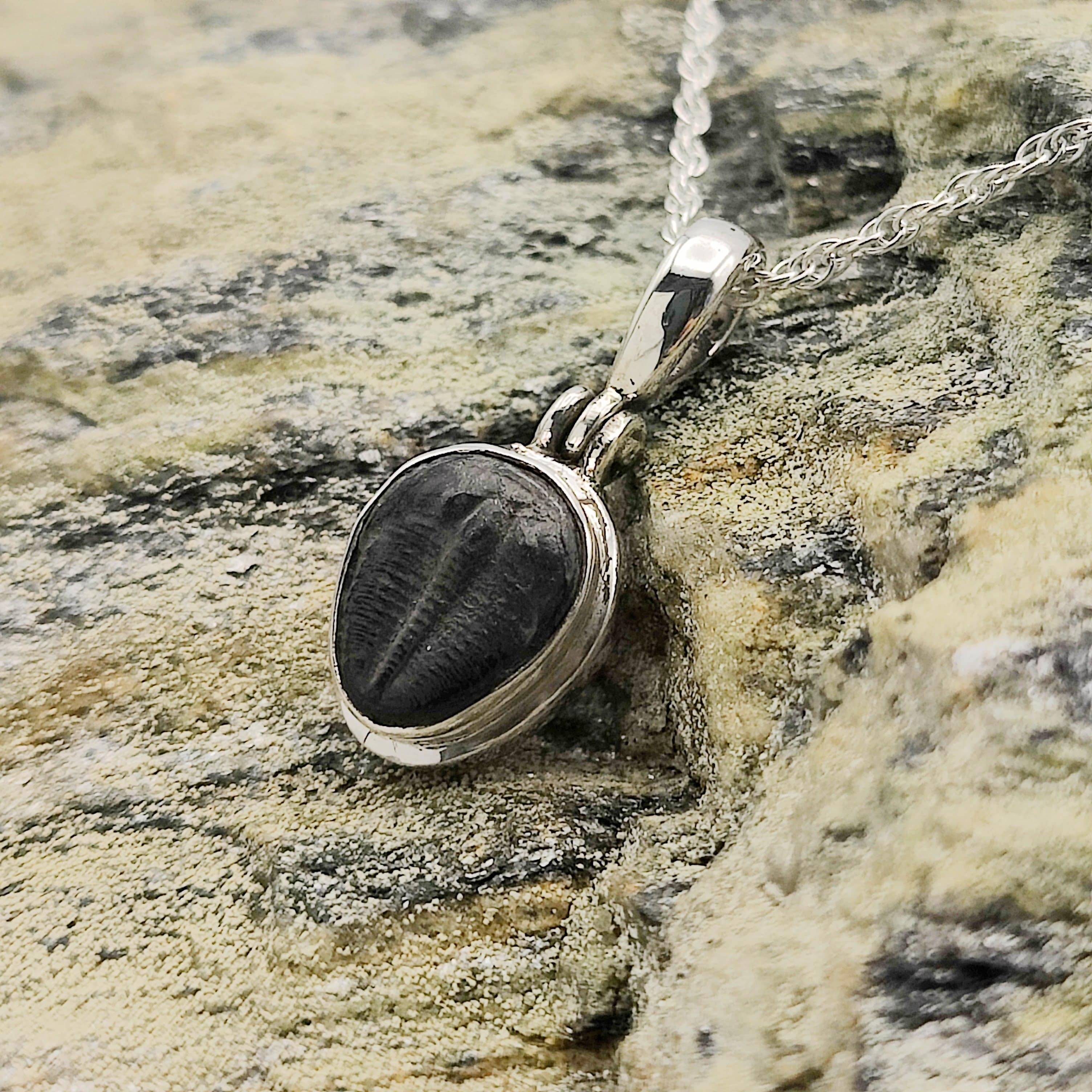 Hepburn and Hughes Trilobite Necklace | Small Fossil Pendant | Sterling Silver