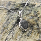 Hepburn and Hughes Trilobite Necklace | Small Fossil Pendant | Sterling Silver