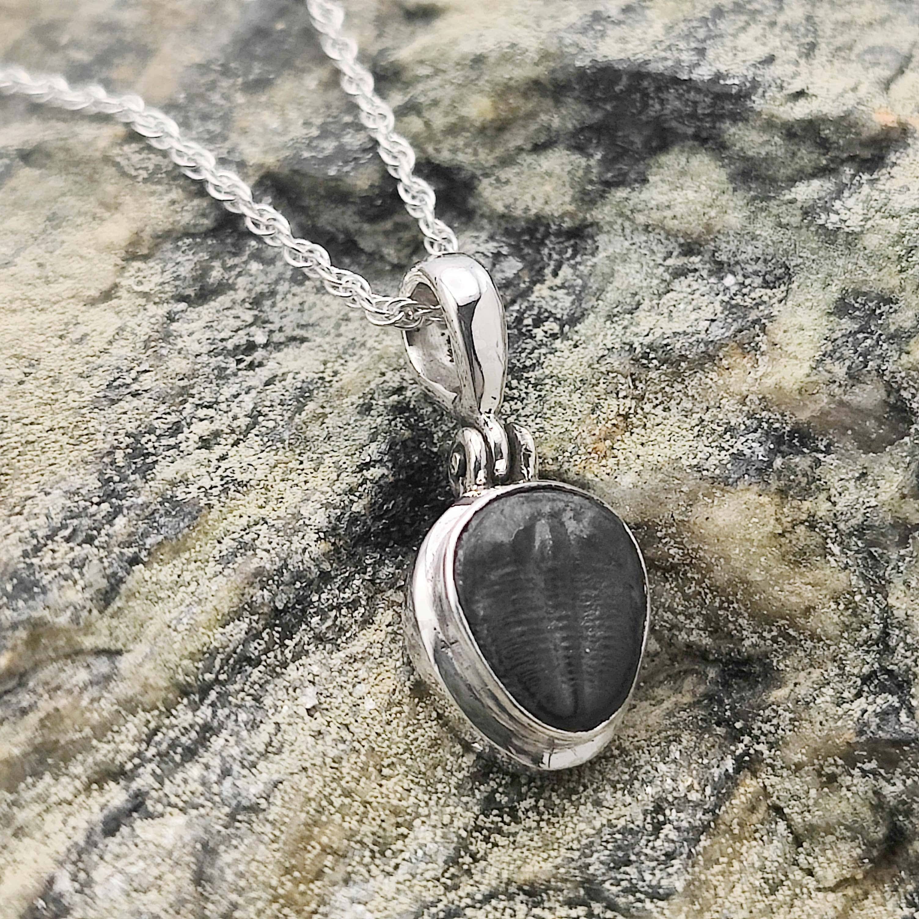 Hepburn and Hughes Trilobite Necklace | Small Fossil Pendant | Sterling Silver