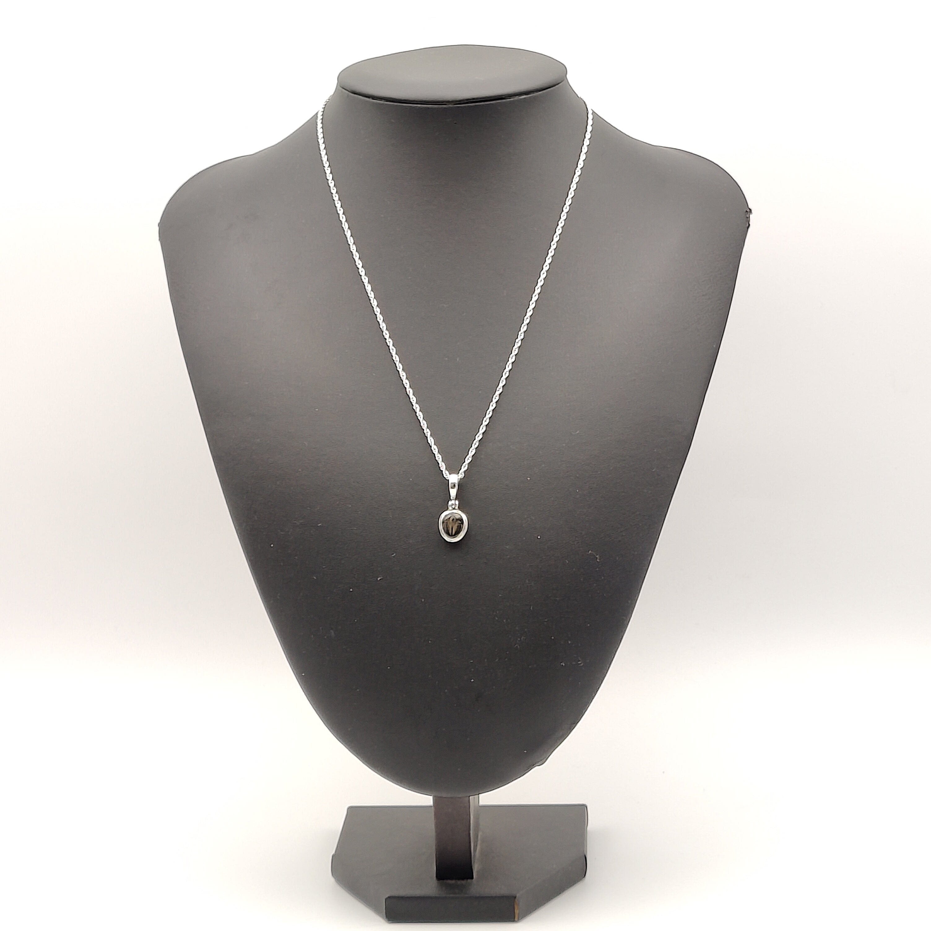 Hepburn and Hughes Trilobite Necklace | Small Fossil Pendant | Sterling Silver