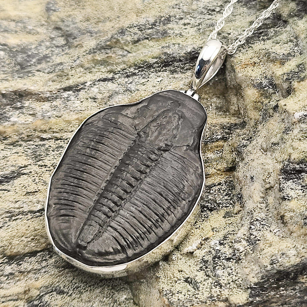Hepburn and Hughes Trilobite Pendant | Fossil Necklace | Large | Sterling Silver