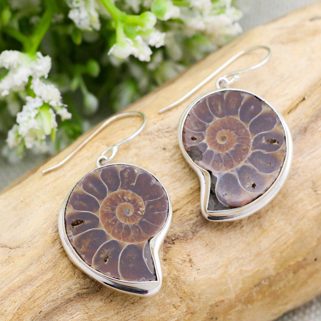 Ammonite earrings in Sterling silver 
