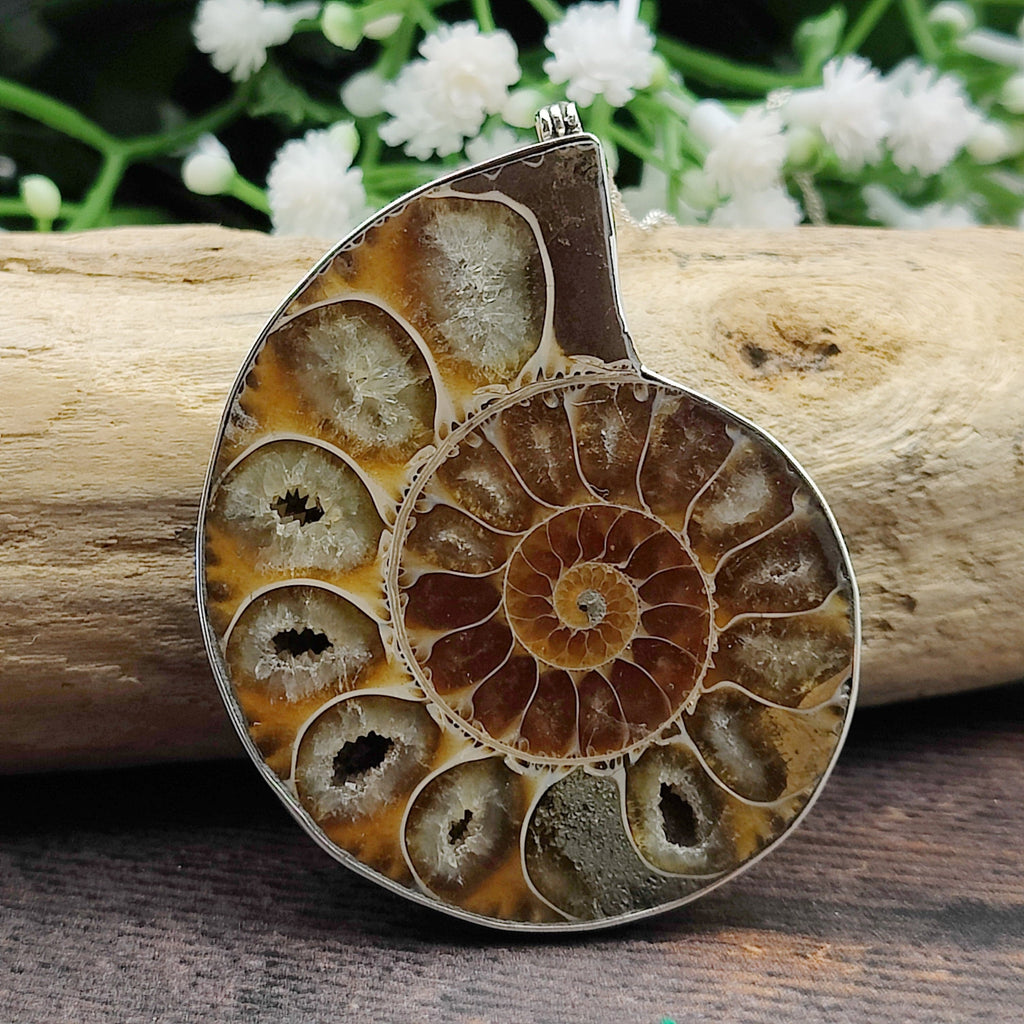 Ammonite pendant, fossil necklace, browns and greens