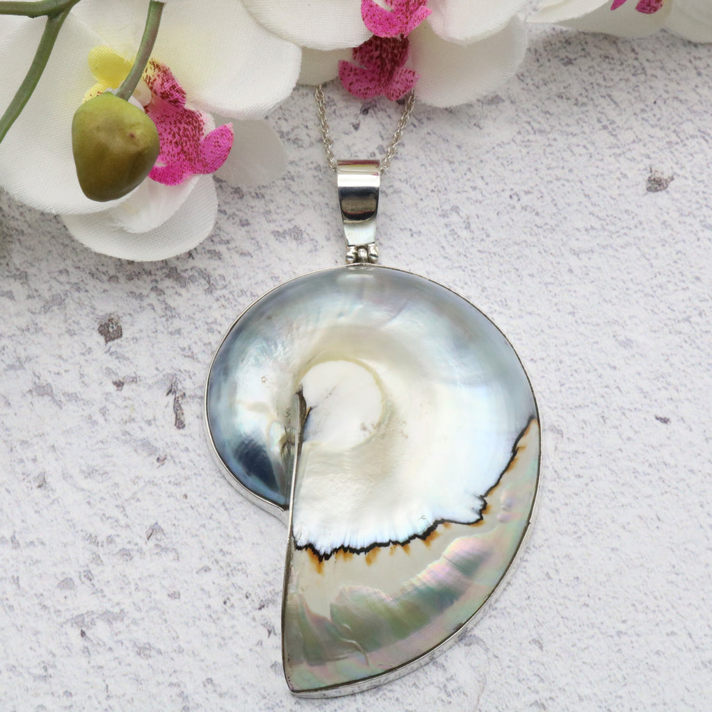 nautilus pendant pearl finish in sterling silver