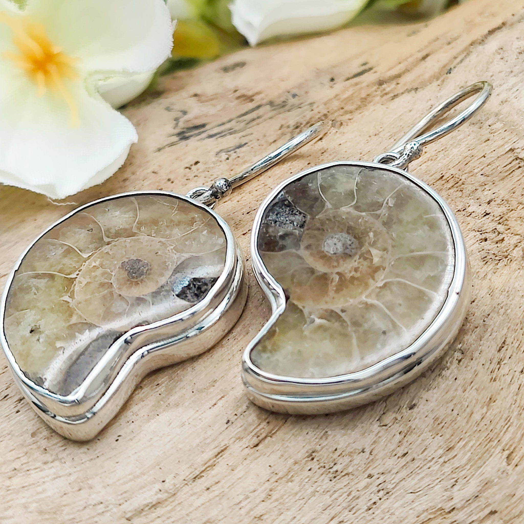 Hepburn and Hughes Ammonite 24mm Earrings | Madagascan Fossil Jewellery | Sterling Silver