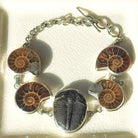 Hepburn and Hughes Ammonite and Trilobite Fossil Bracelet | Made with Ancient Fossils | Set in Sterling Silver