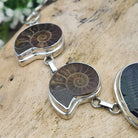 Hepburn and Hughes Ammonite and Trilobite Fossil Bracelet | Made with Ancient Fossils | Set in Sterling Silver
