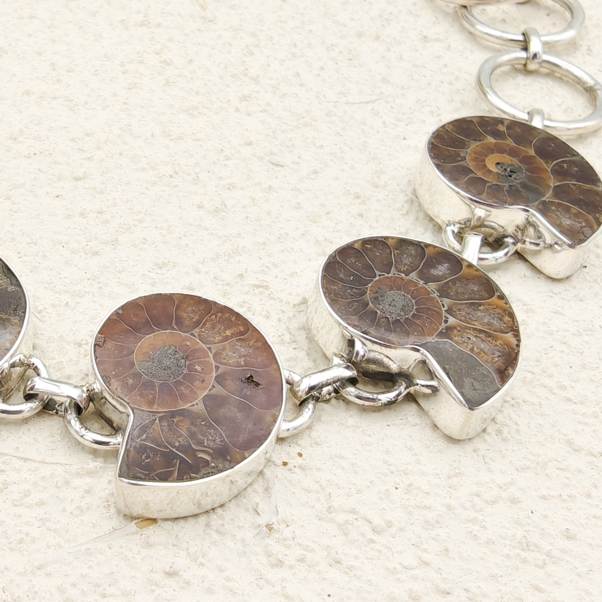 Hepburn and Hughes Ammonite Bracelet | Dark Tones | Sterling Silver