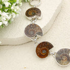 Hepburn and Hughes Ammonite Bracelet | Dark Tones | Sterling Silver