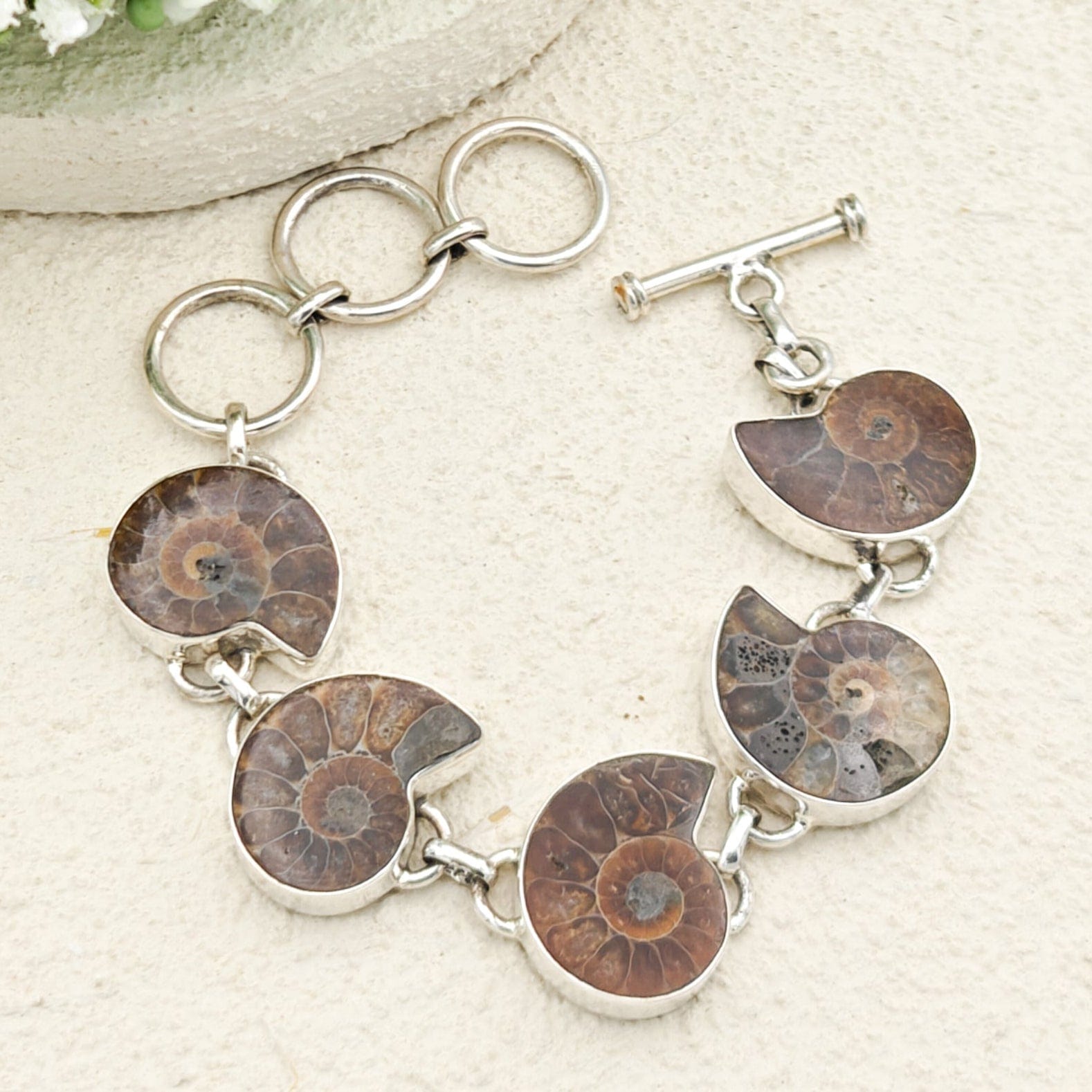 Hepburn and Hughes Ammonite Bracelet | Dark Tones | Sterling Silver