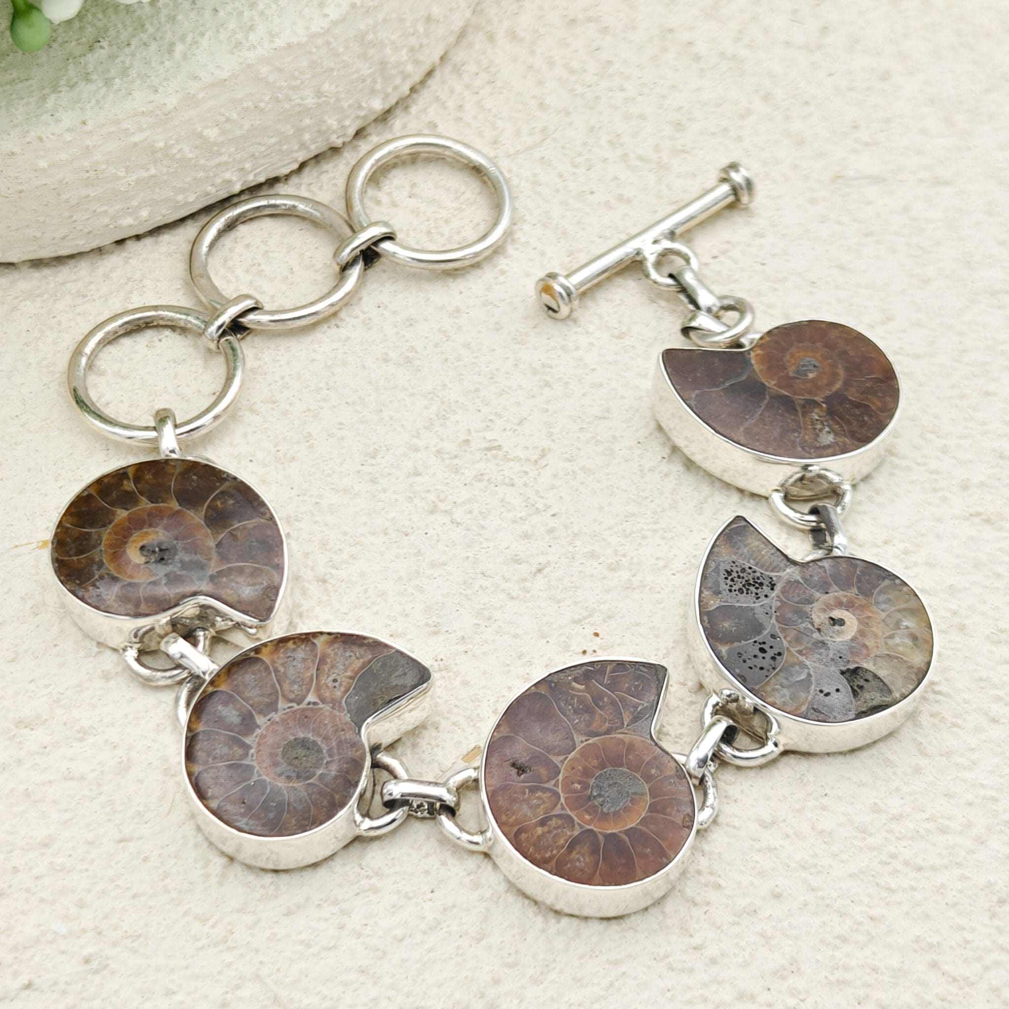 Hepburn and Hughes Ammonite Bracelet | Dark Tones | Sterling Silver