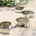 Hepburn and Hughes Ammonite Bracelet, medium tones in Sterling Silver