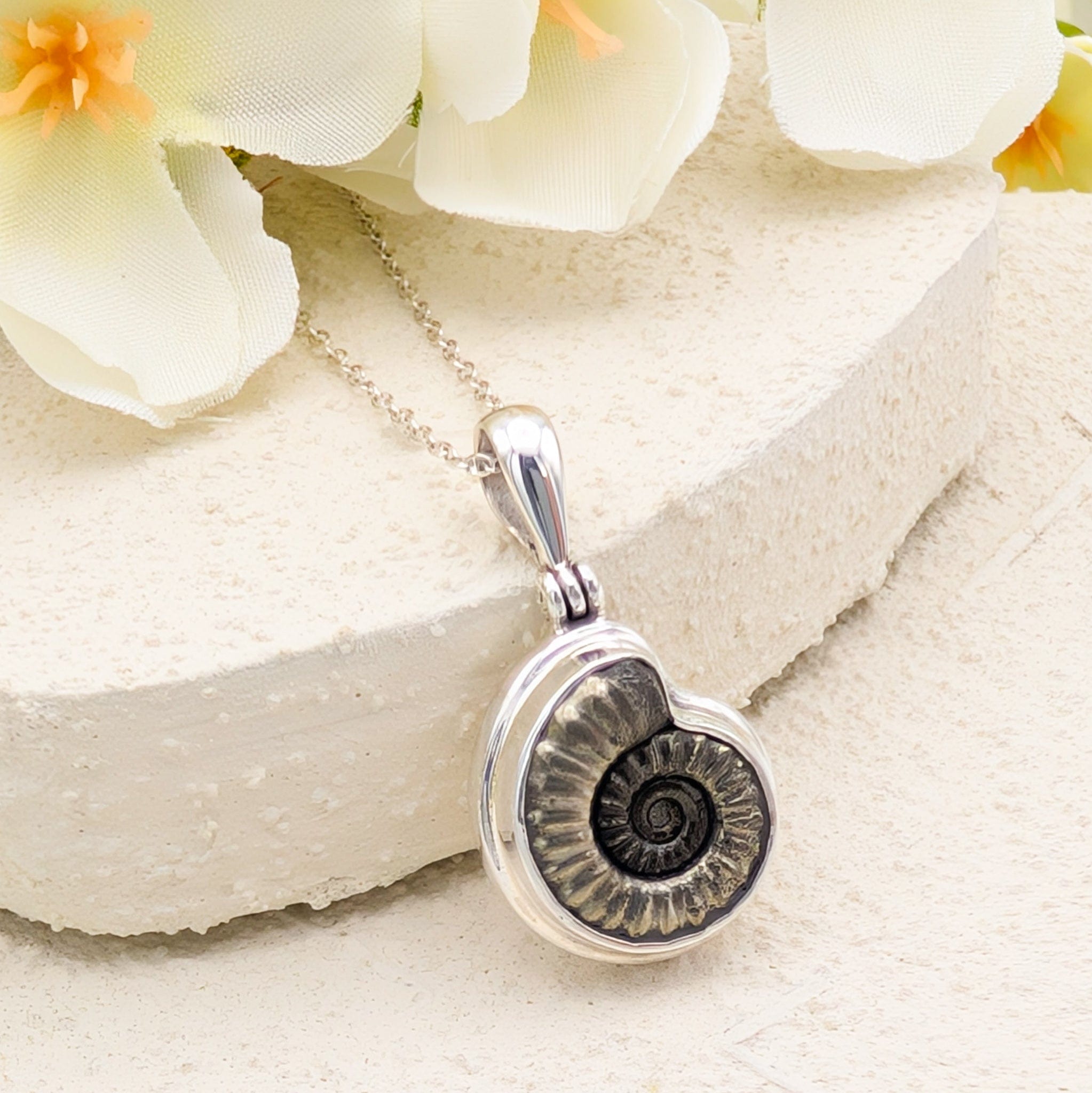Hepburn and Hughes Ammonite Fossil Pendant | 17mm Promicroceras Necklace | Geology Gift | Sterling Silver