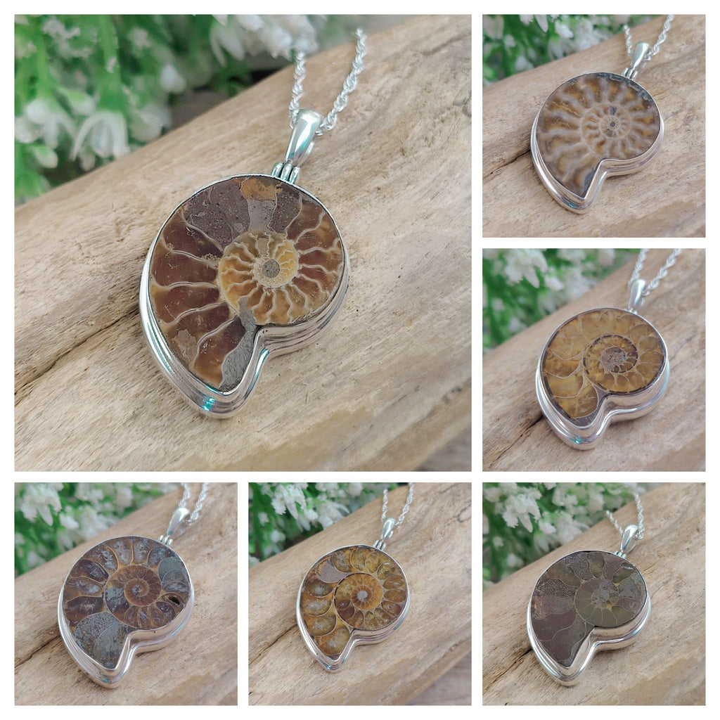 Hepburn and Hughes Ammonite Fossil Pendant | 30mm Madagascan | Sterling Silver