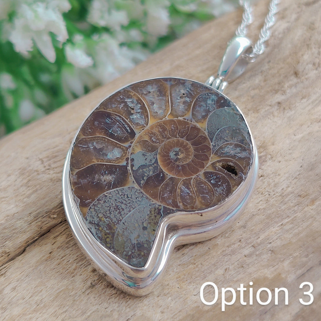 Hepburn and Hughes Ammonite Fossil Pendant | 30mm Madagascan | Sterling Silver