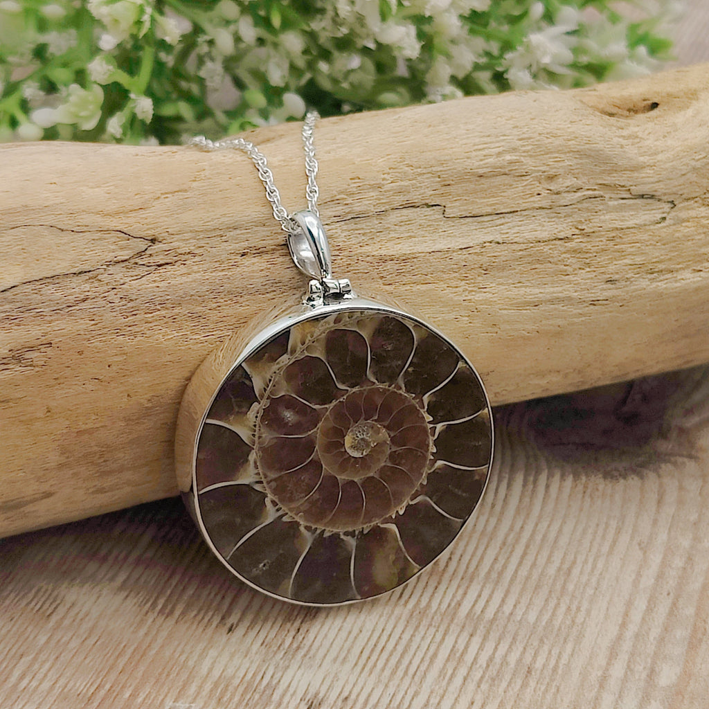 Hepburn and Hughes Ammonite Fossil Pendant | Circular | Two Options | Sterling Silver