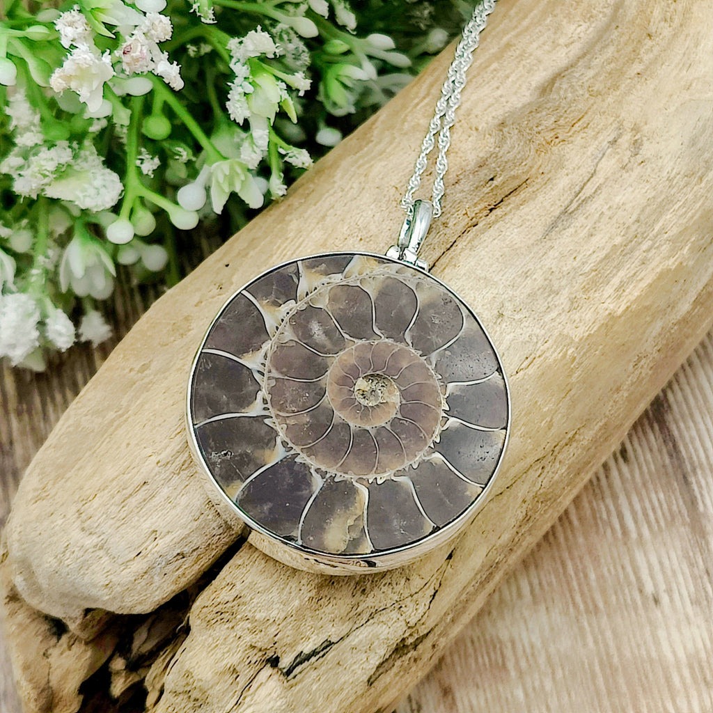 Ammonite Silver Cufflinks – BROOKE Jewelry