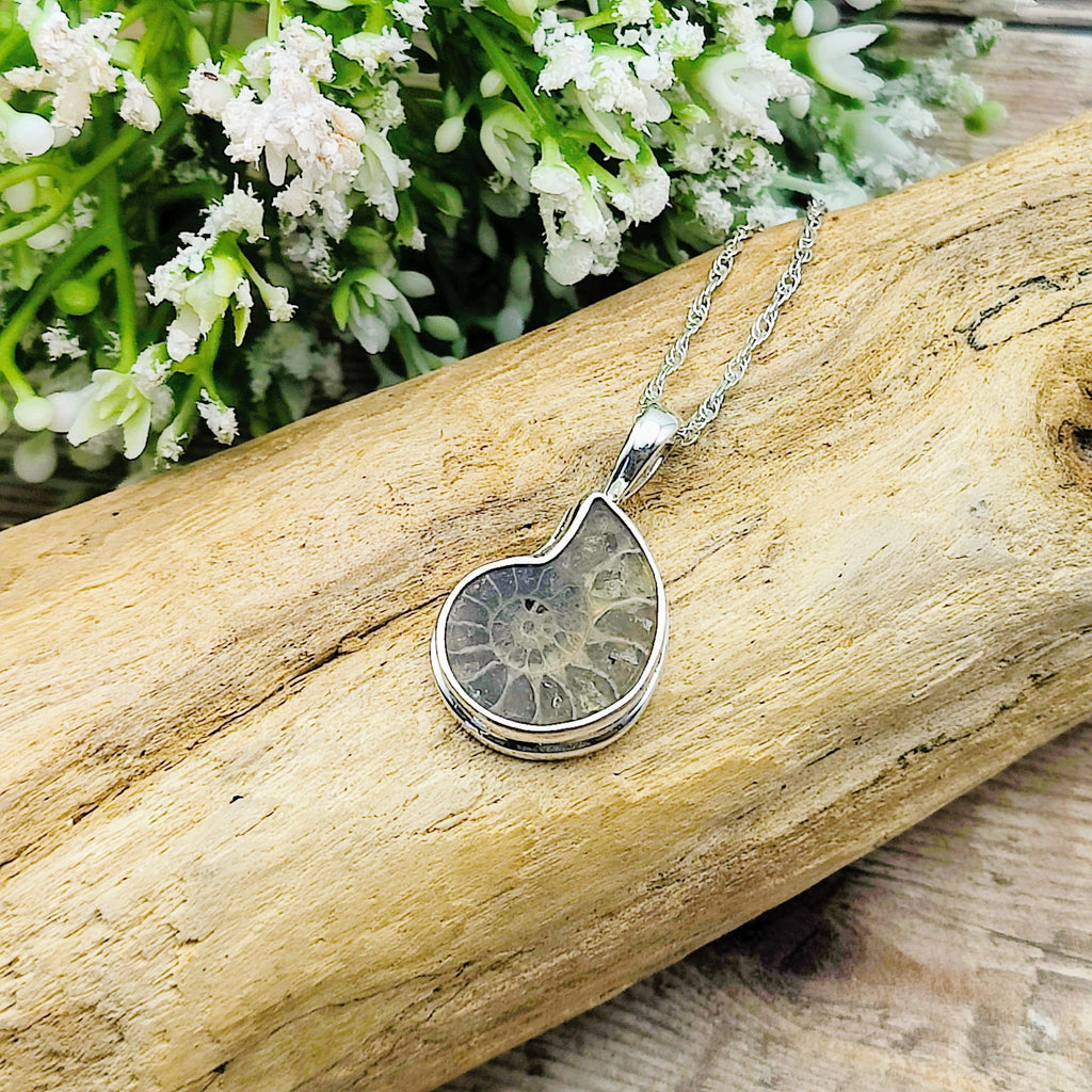 Hepburn and Hughes Ammonite Fossil Pendant | Extra Small Madagascan | Sterling Silver