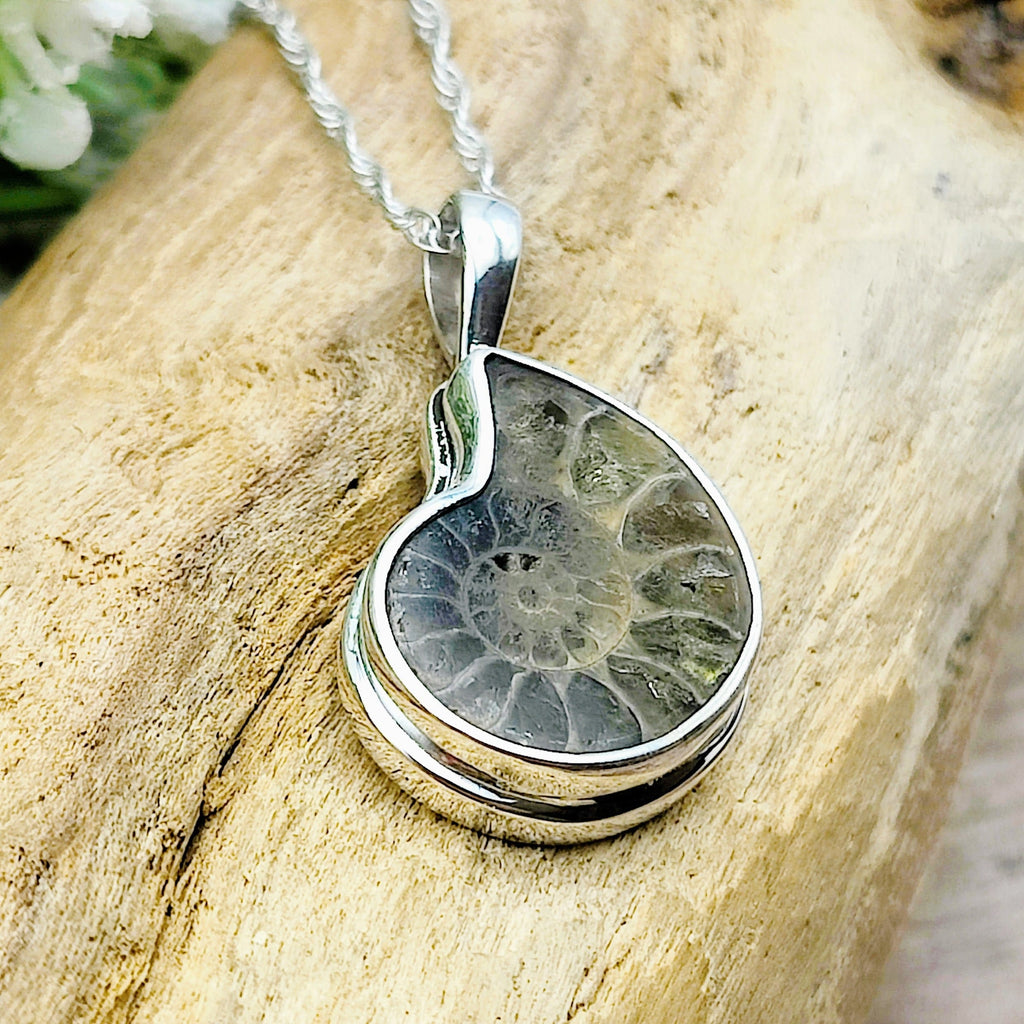 Hepburn and Hughes Ammonite Fossil Pendant | Extra Small Madagascan | Sterling Silver