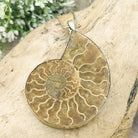 Hepburn and Hughes Ammonite Fossil Pendant | Large 70mm Madagascan | Sterling Silver