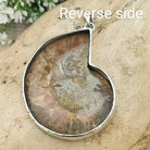 Hepburn and Hughes Ammonite Fossil Pendant | Large 70mm Madagascan | Sterling Silver