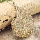 Hepburn and Hughes Ammonite Fossil Pendant | Large 70mm Madagascan | Sterling Silver
