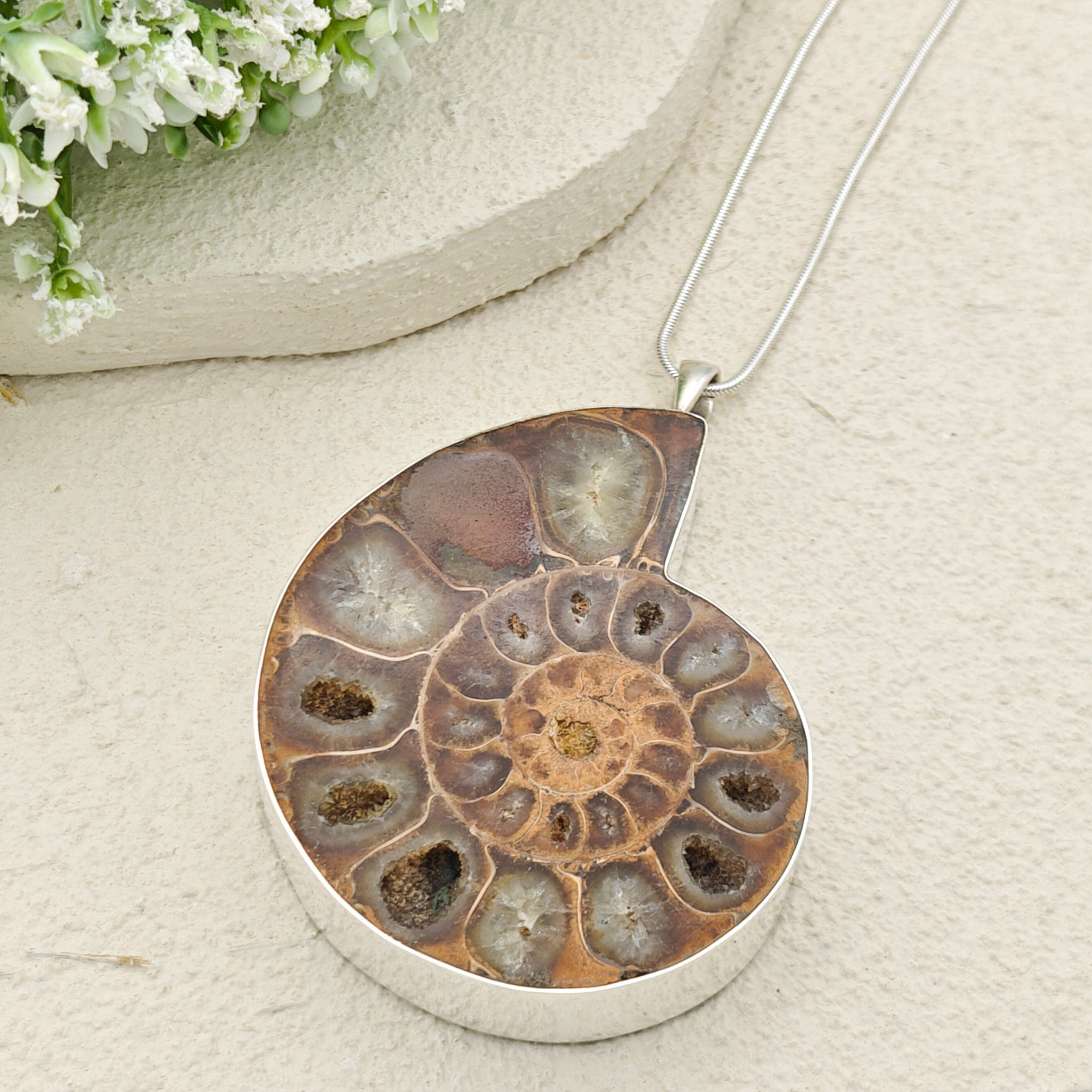 Hepburn and Hughes Ammonite Fossil Pendant | Large 70mm Madagascan | Sterling Silver