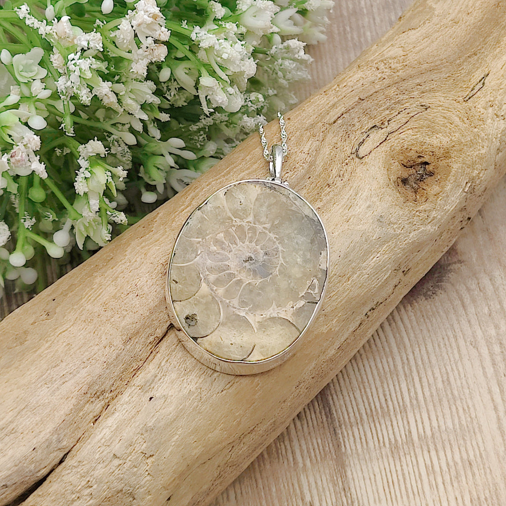 Hepburn and Hughes Ammonite Fossil Pendant | Oval | Two Options | Sterling Silver