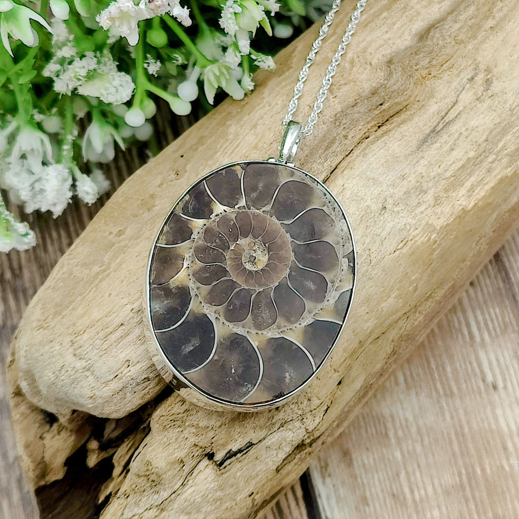 Hepburn and Hughes Ammonite Fossil Pendant | Oval | Two Options | Sterling Silver
