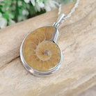 Hepburn and Hughes Ammonite Necklace | Madagascan Pendant | Fossil Gift | Sterling Silver