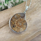 Hepburn and Hughes Ammonite Necklace | Madagascan Pendant | Fossil Gift | Sterling Silver