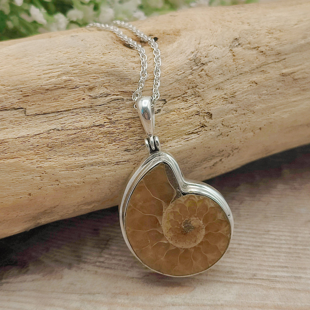 Hepburn and Hughes Ammonite Necklace | Madagascan Pendant | Fossil Gift | Sterling Silver