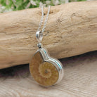 Hepburn and Hughes Ammonite Necklace | Madagascan Pendant | Fossil Gift | Sterling Silver