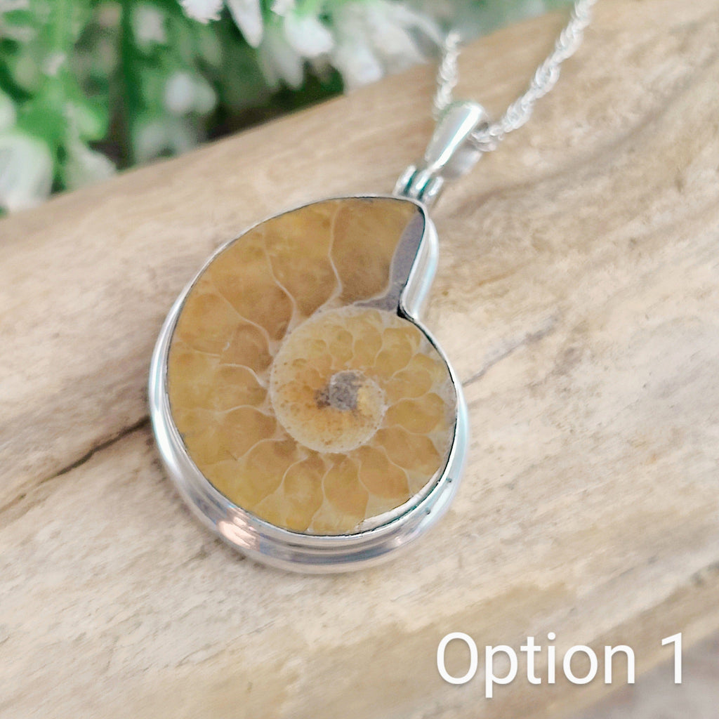 Hepburn and Hughes Ammonite Necklace | Madagascan Pendant | Fossil Gift | Sterling Silver